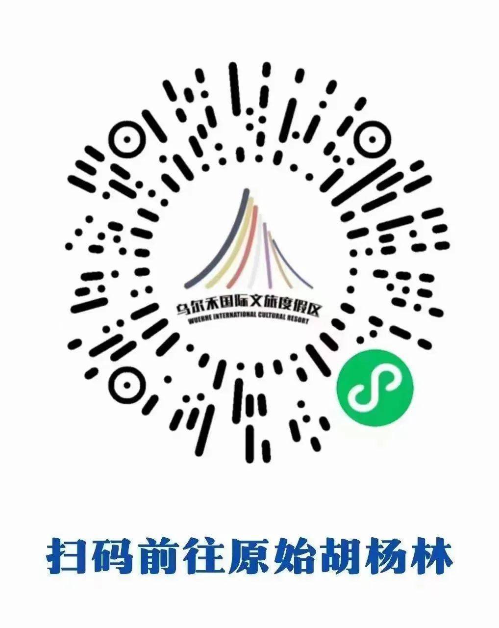 【大美乌尔禾】乌尔禾30万亩胡杨林"抢先"入秋迎客_游客_景区_庞博