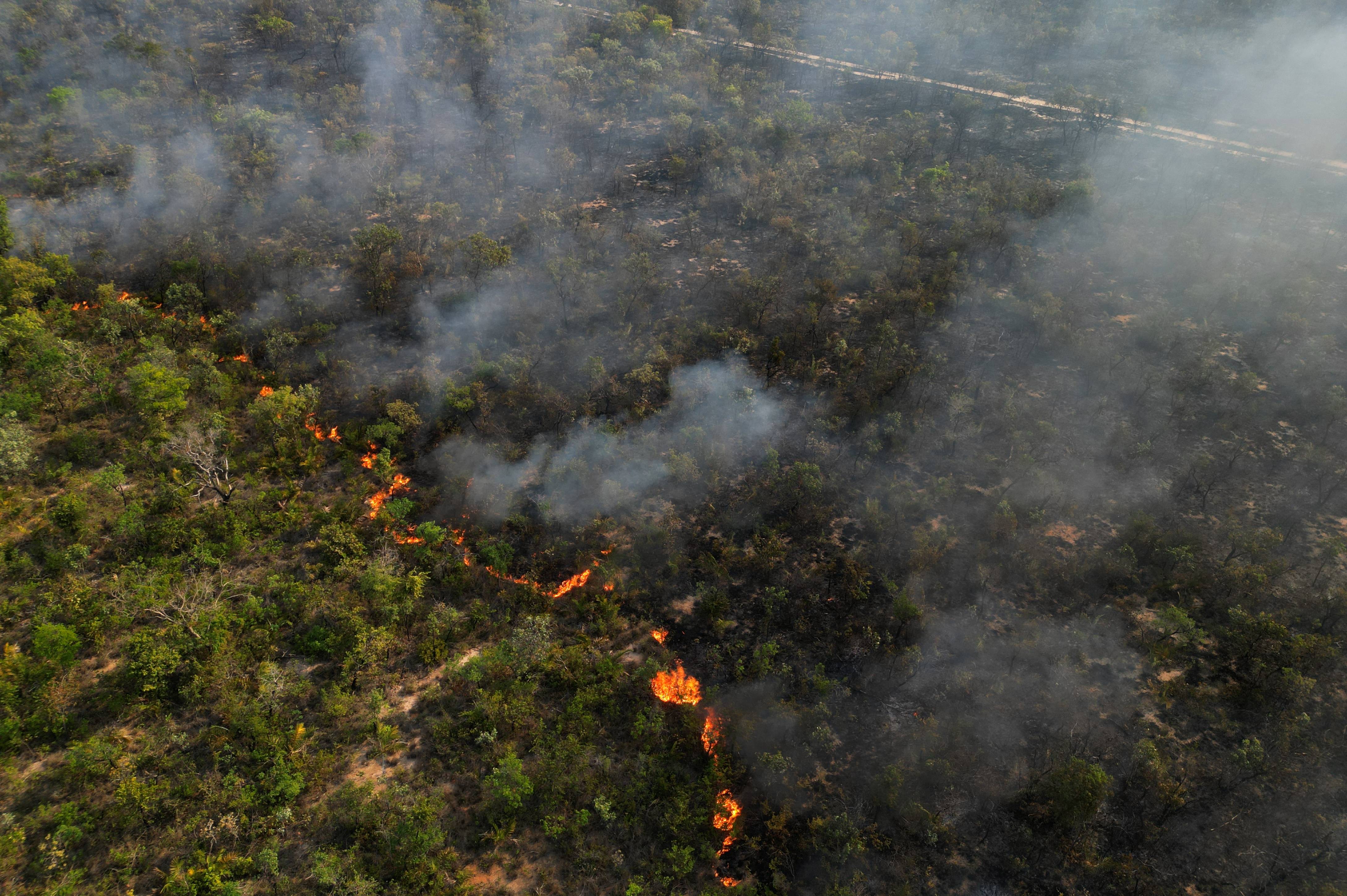 (国际)巴西巴伊亚州发生大面积森林火灾