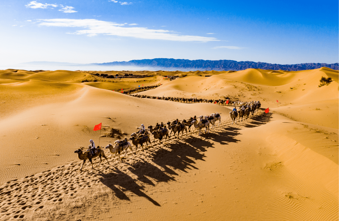 第六届中阿博览会,与"宁"相约,打卡宁夏二十一景~_贺兰_黄河岸边_千年