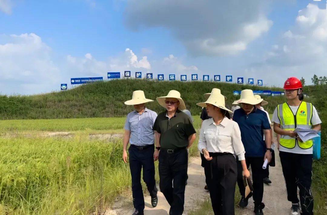赖文生一行来会昌调研市场化废弃矿山生态修复治理工作_项目点_周田镇