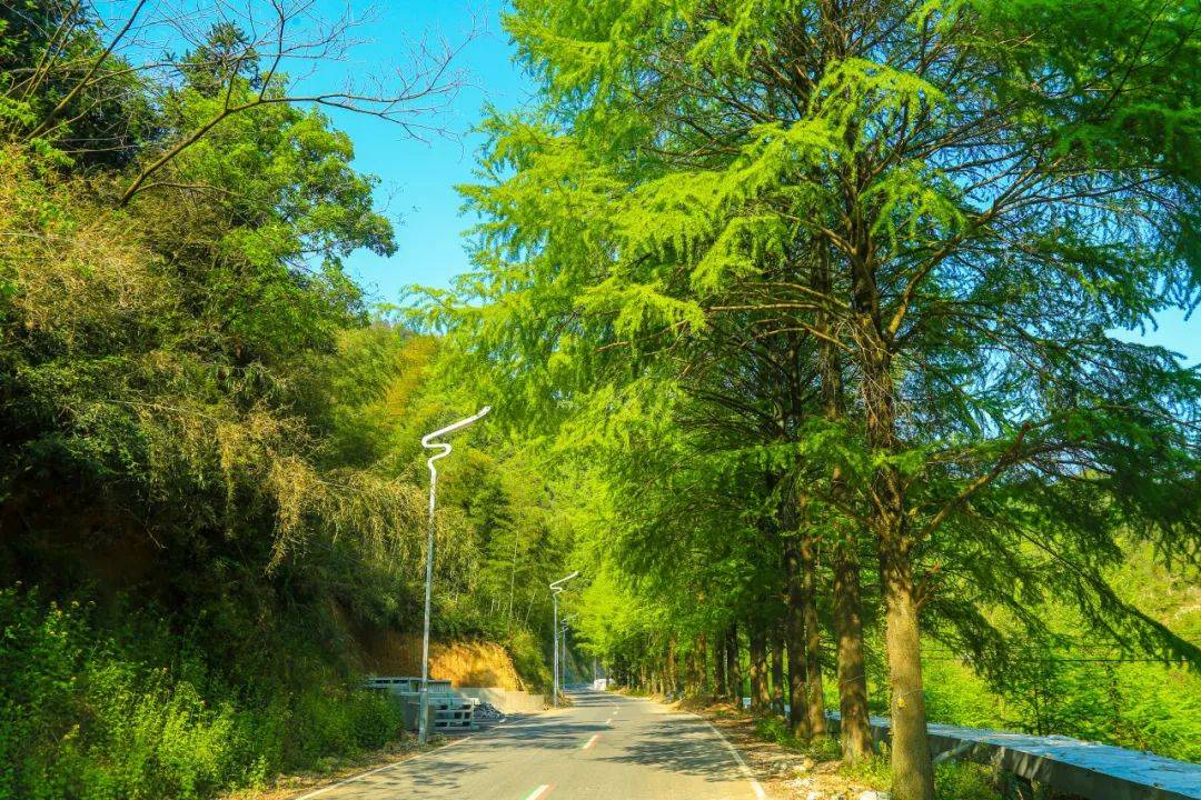 中国国家标准委员会所规定的标准宣纸是这样界定的:采用产自安徽省