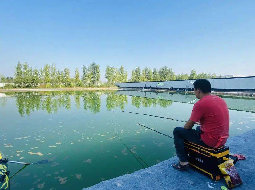 临淄有个好去处!广饶大哥都来了……_陈营村_田园_产业