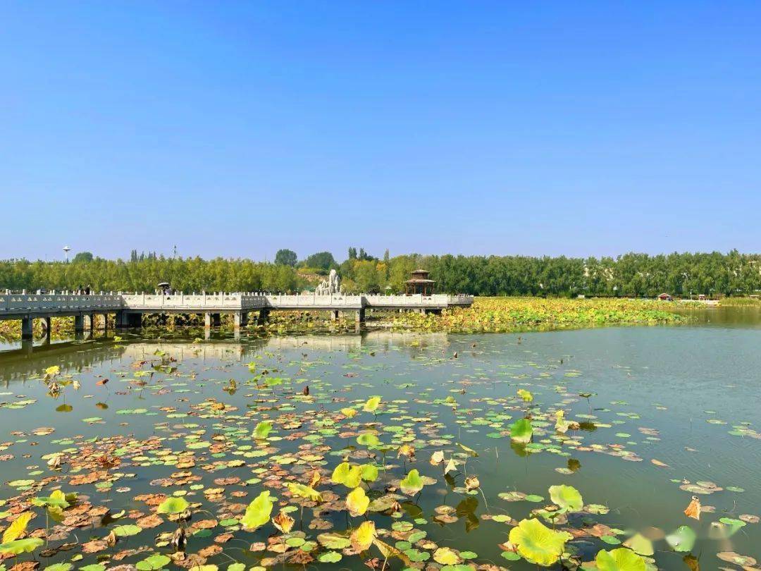 白银水川湿地公园图片