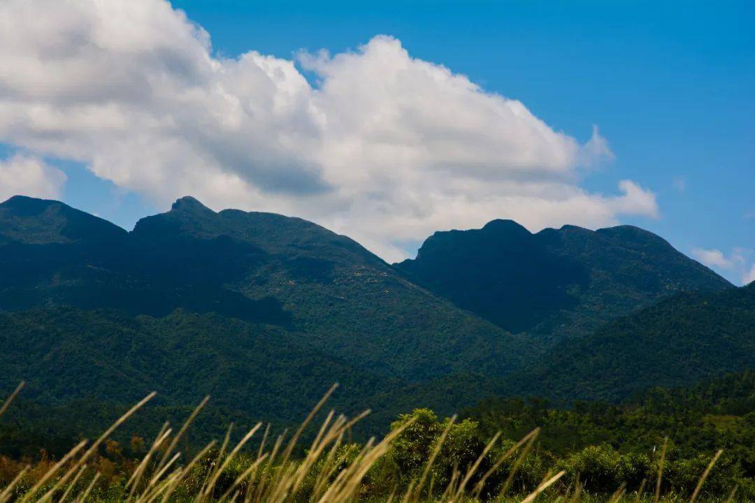 上思县景点图片