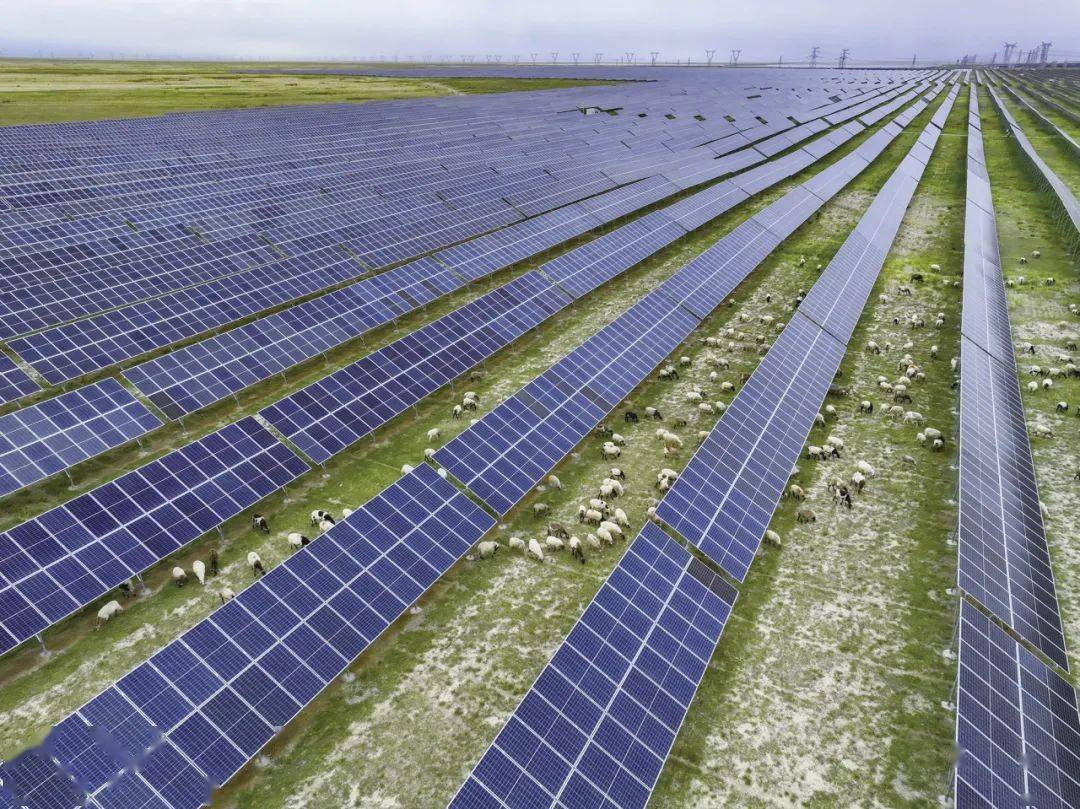 新闻调查⑦ | 塔拉滩上牧羊曲_青海_项目_建设