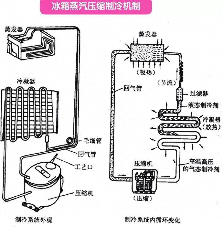 冰箱后面构造图图片