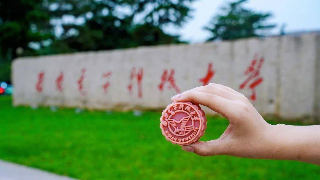 陕西十校联名校徽月饼 你最pick哪一款?_长安_人间_佳节