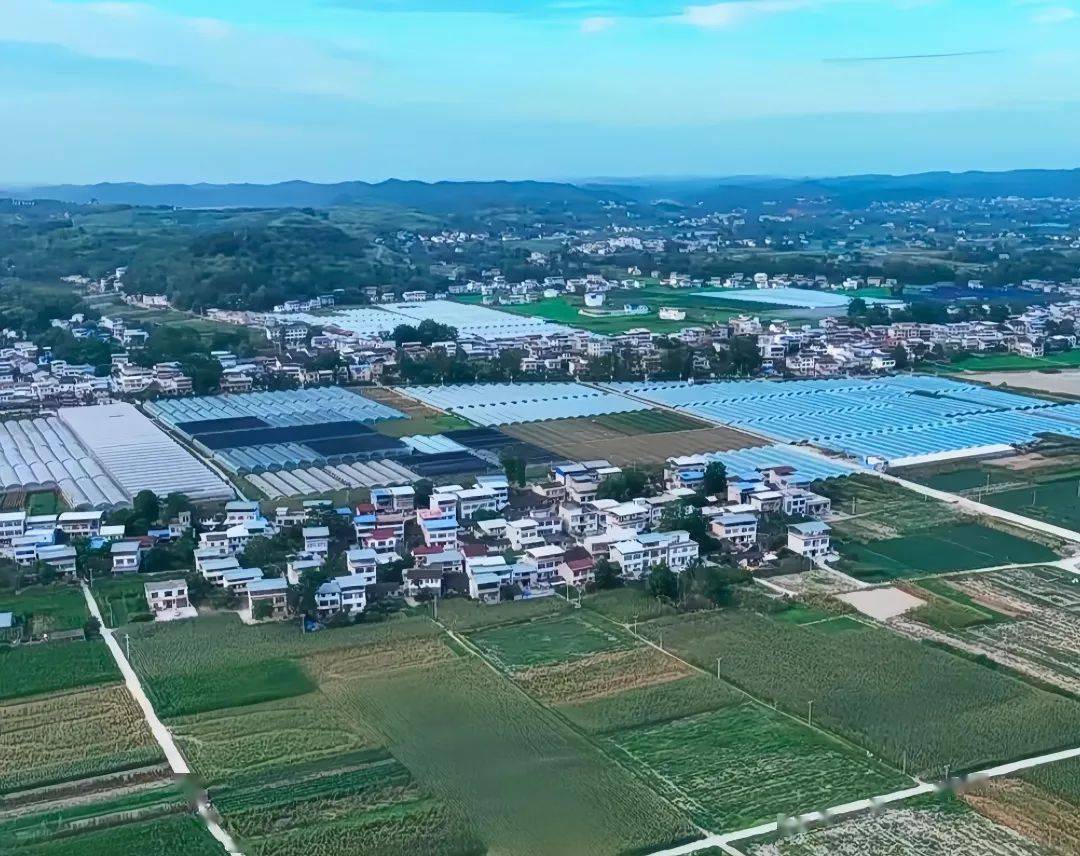 吃千人坝坝宴,看凤凰飞天……10月1日,来射洪沱牌镇就对了!