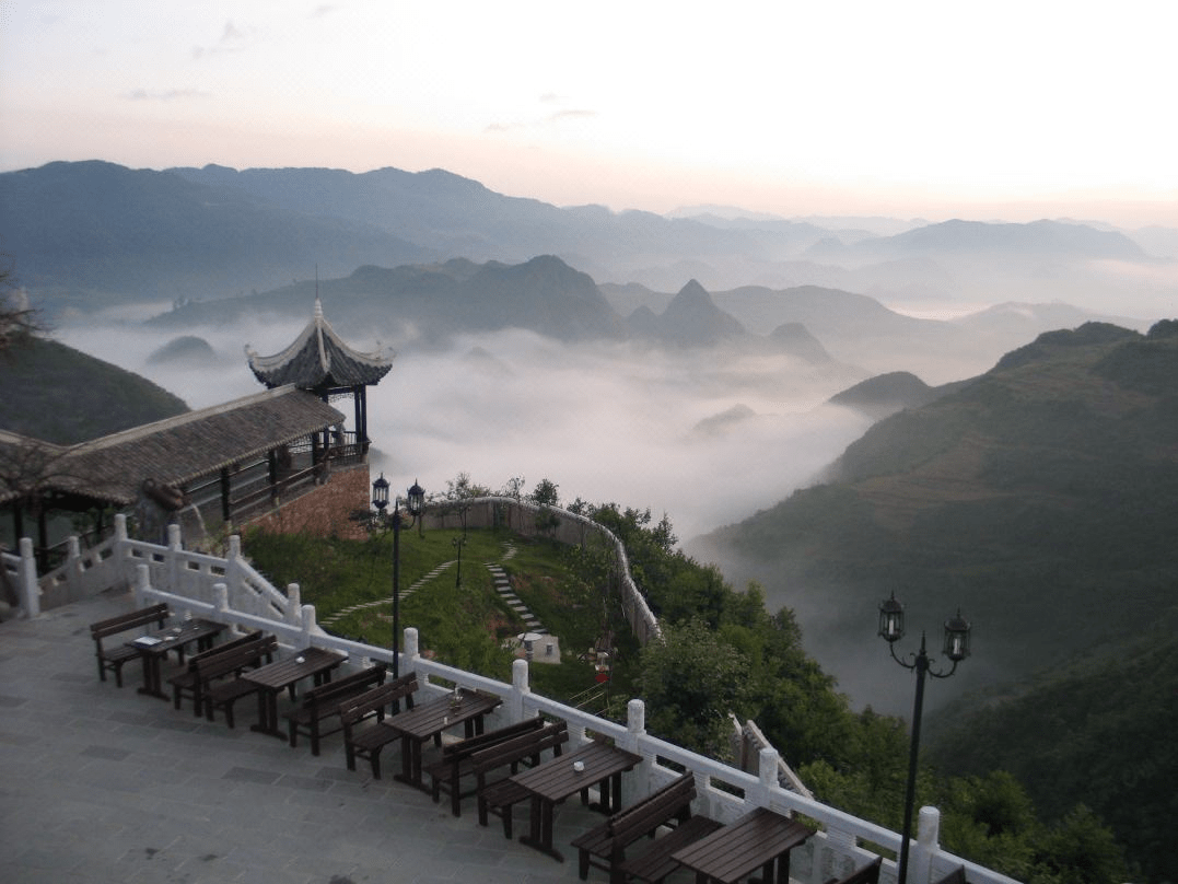 在长官司采摘草莓,在平寨,凤凰寨,猴场采摘樱桃,云山茶海体验采茶等