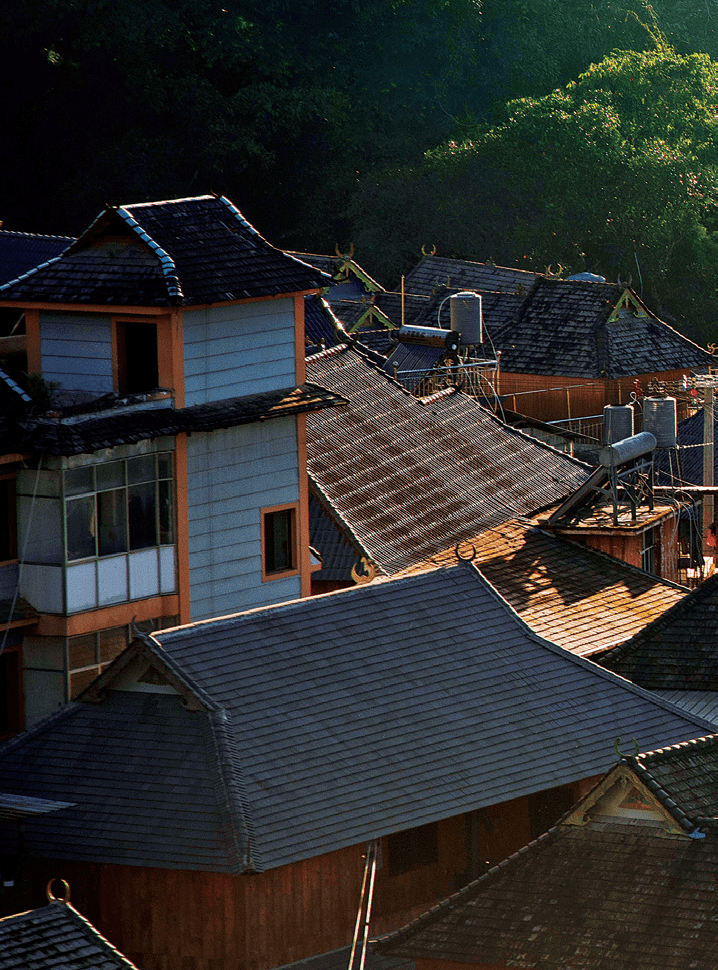 关于情与义|景迈山人物故事手记_一然_茶叶_惠民