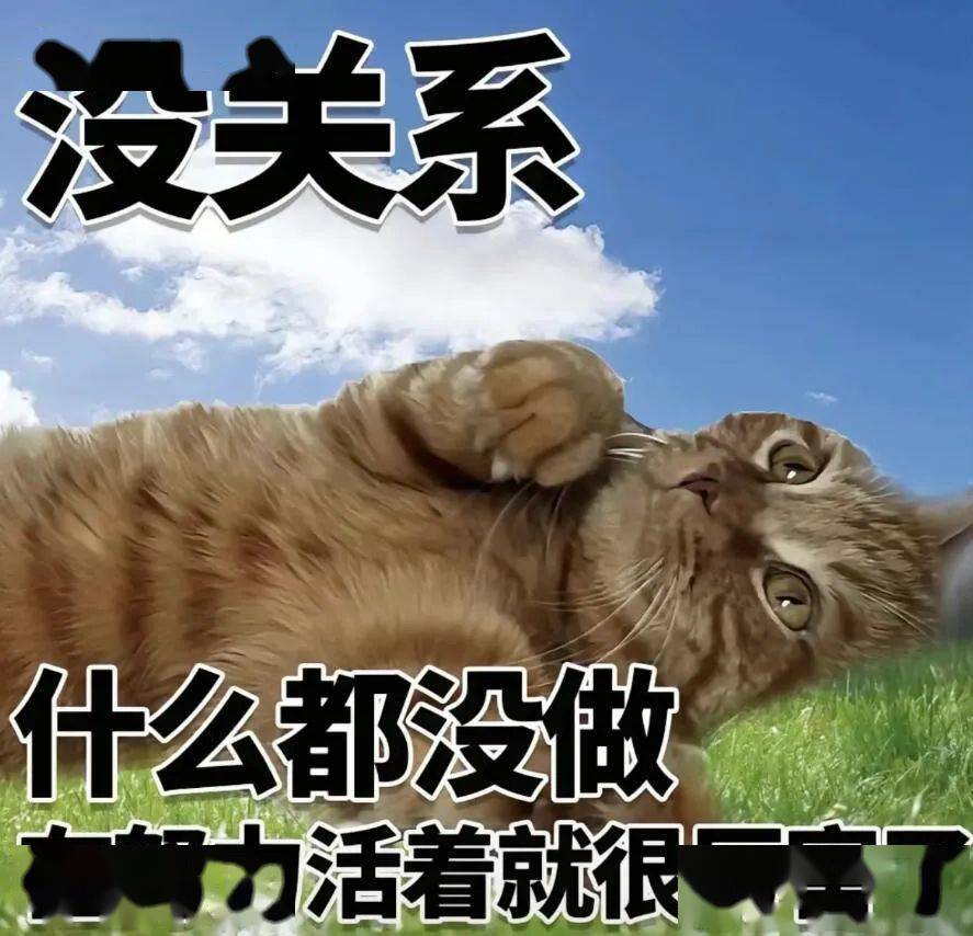 61个发疯表情包,送给和我一样,今天还在工位的打工人 | 文末有下载