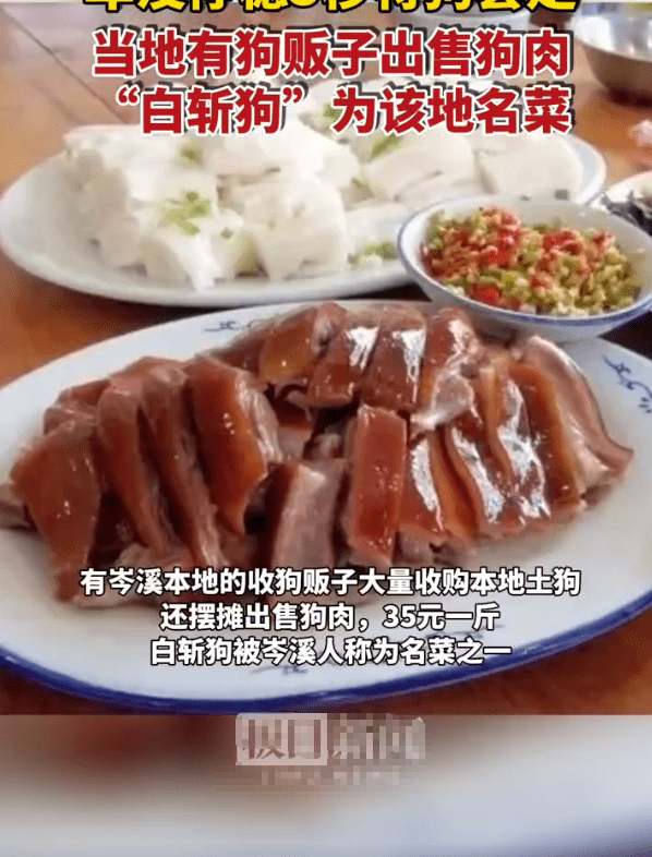岑溪:手法娴熟,3秒套走一只狗!