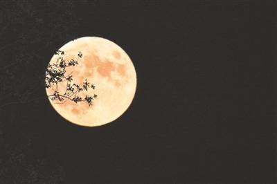 天涯明月共此时_月亮_广场_满月