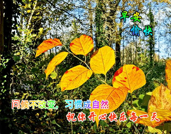 国庆节早安祝福语短句，问候朋友快乐安康！