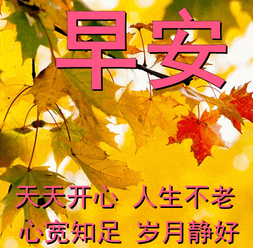 2,很多的事,随着时光失散了;很多的人,随着岁月走散了.