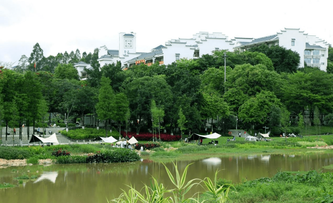东山湖公园小微湿地6.沙头角林场小微湿地7.鹤山市