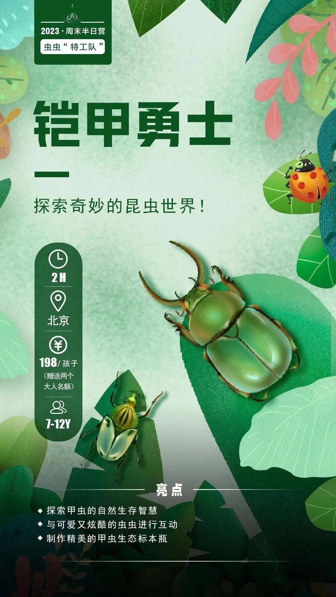 让孩子与甲虫零距离接触！制作甲虫生态标本，还可带走哦！_手机搜狐网