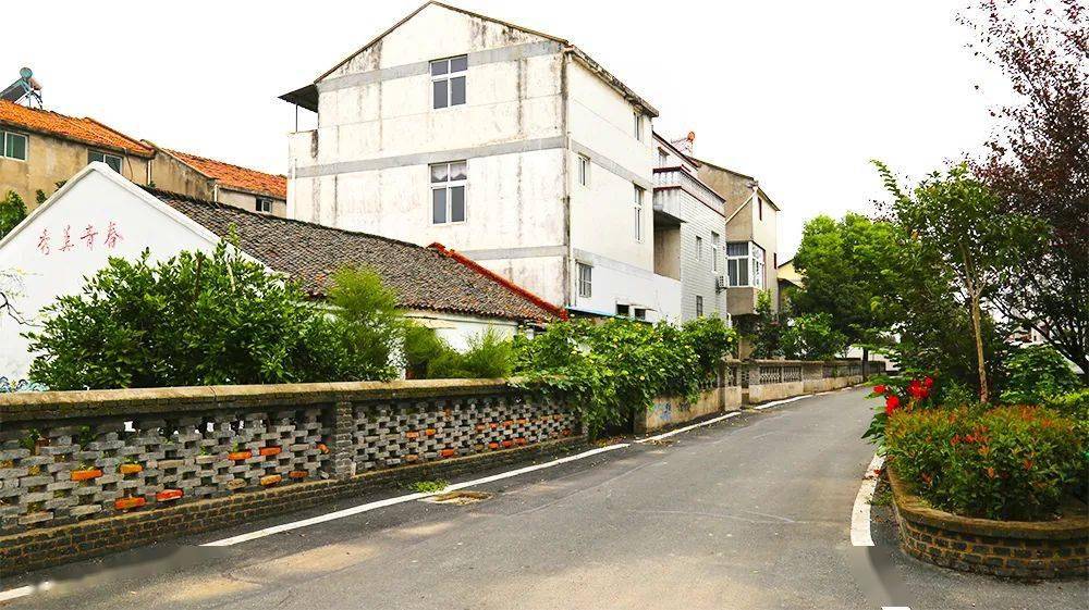 【每周一景】伍洛镇七一村_蔡兴望_云梦县_书林