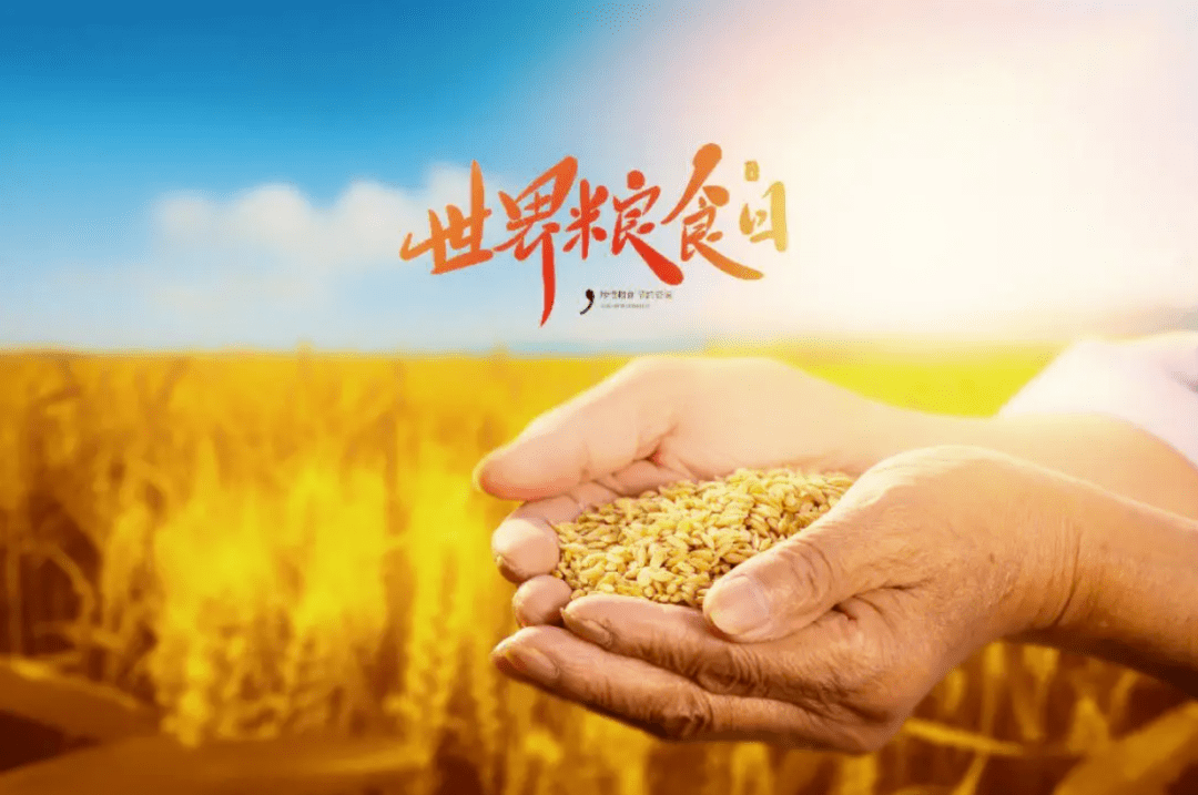 "世界粮食日"宣传_光盘_采取行动_生产