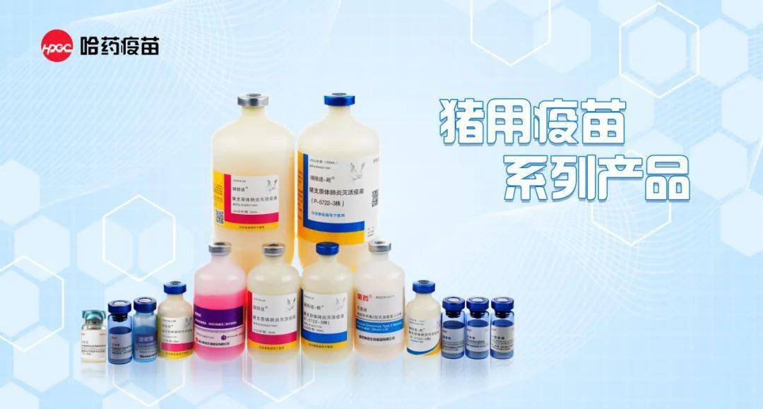 哈药疫苗猪病三季度检测报告!