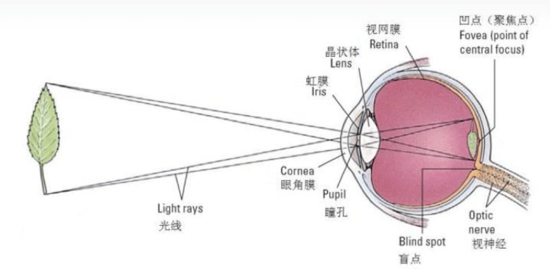 VR 不完全科普指南(图4)