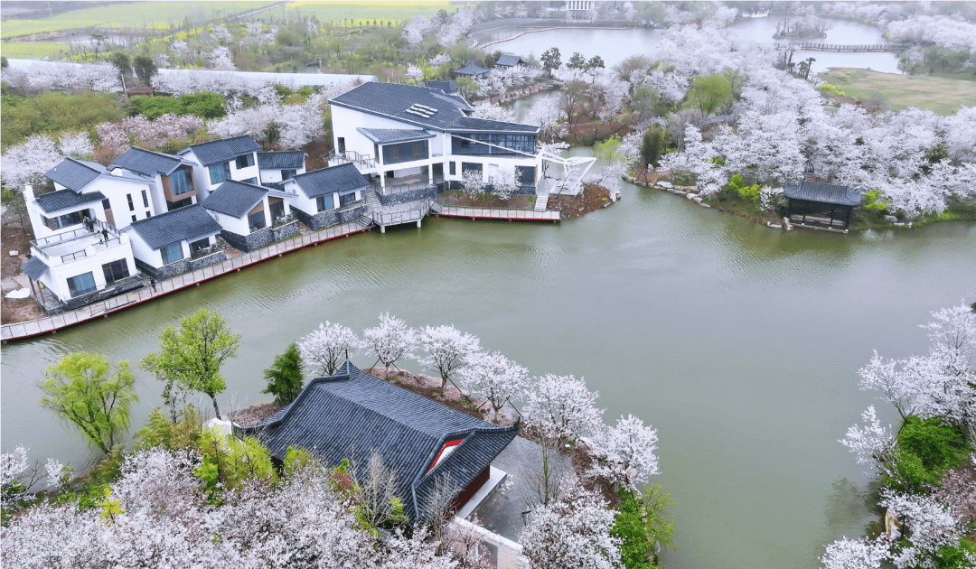 岳飞城61616161京山农场61616161绿林山风景区61