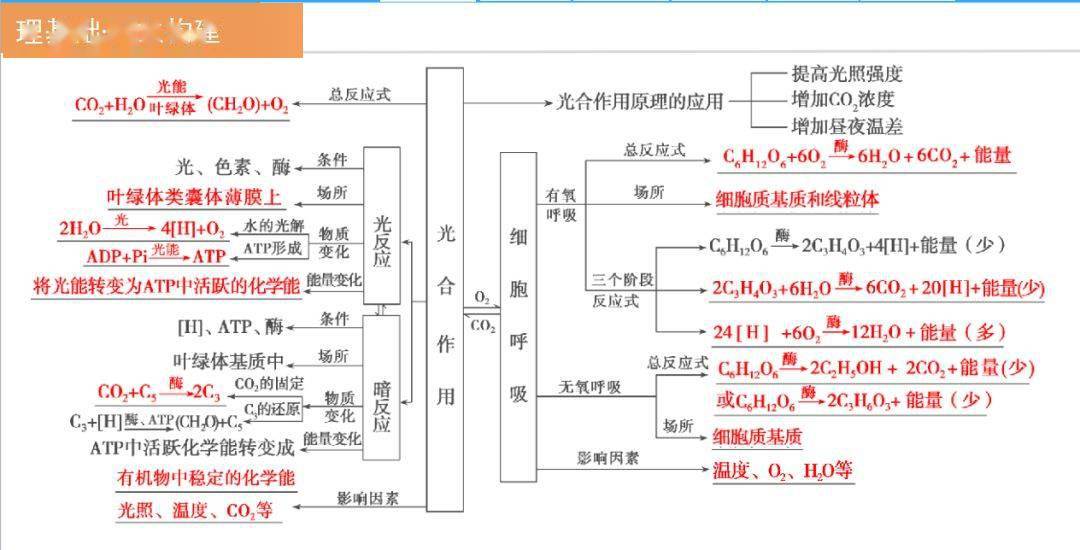 细胞呼吸图流程图图片