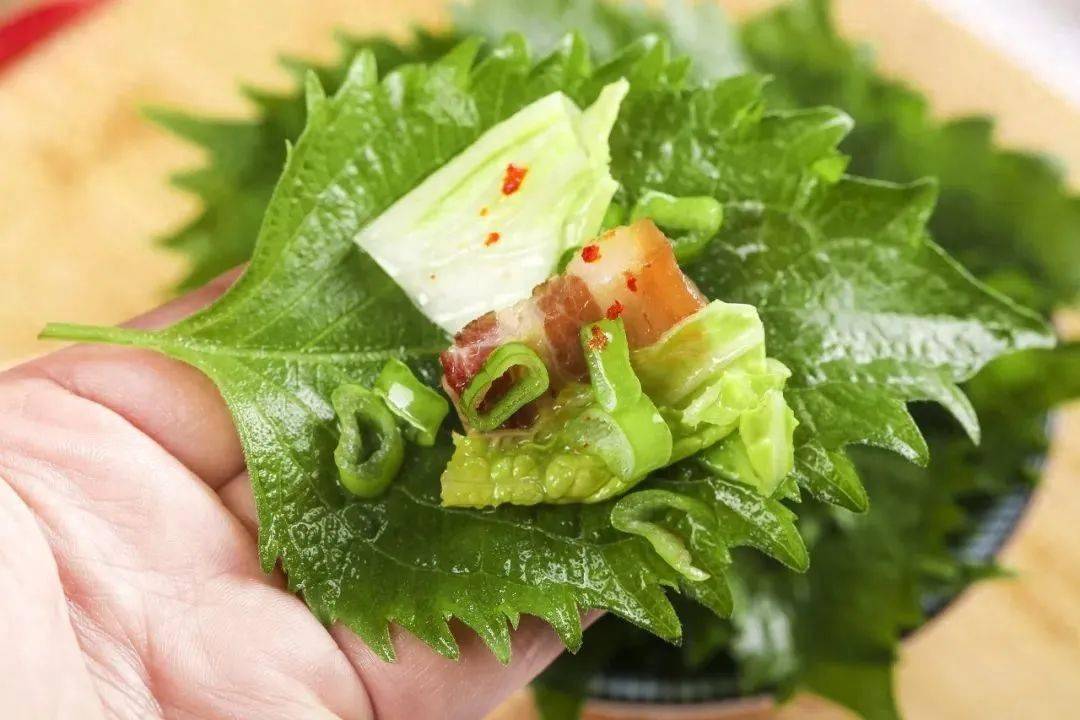 紫苏_食用_苏叶和