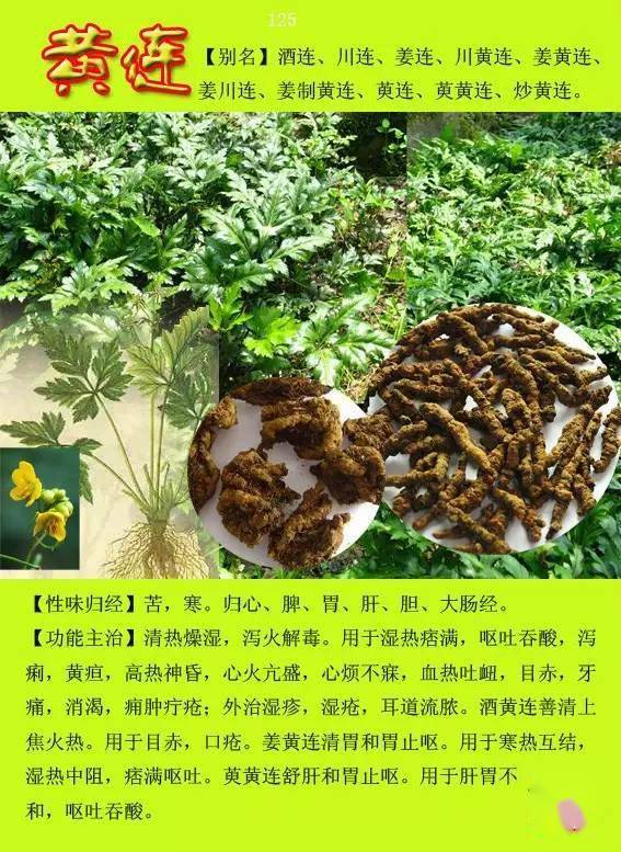 本文根据电子书《常用中草药300种图谱》整理