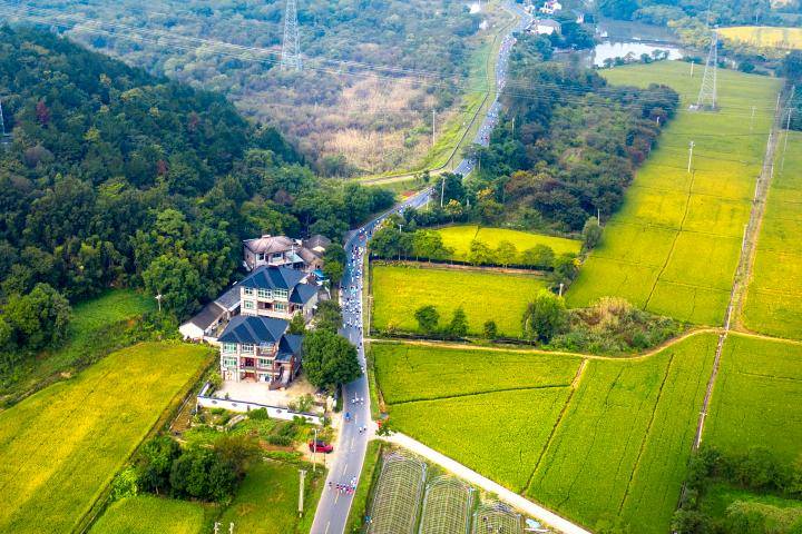 乡村迷你"马拉松 " 跑进丰收画卷_梅溪镇_龙口村_潘学康