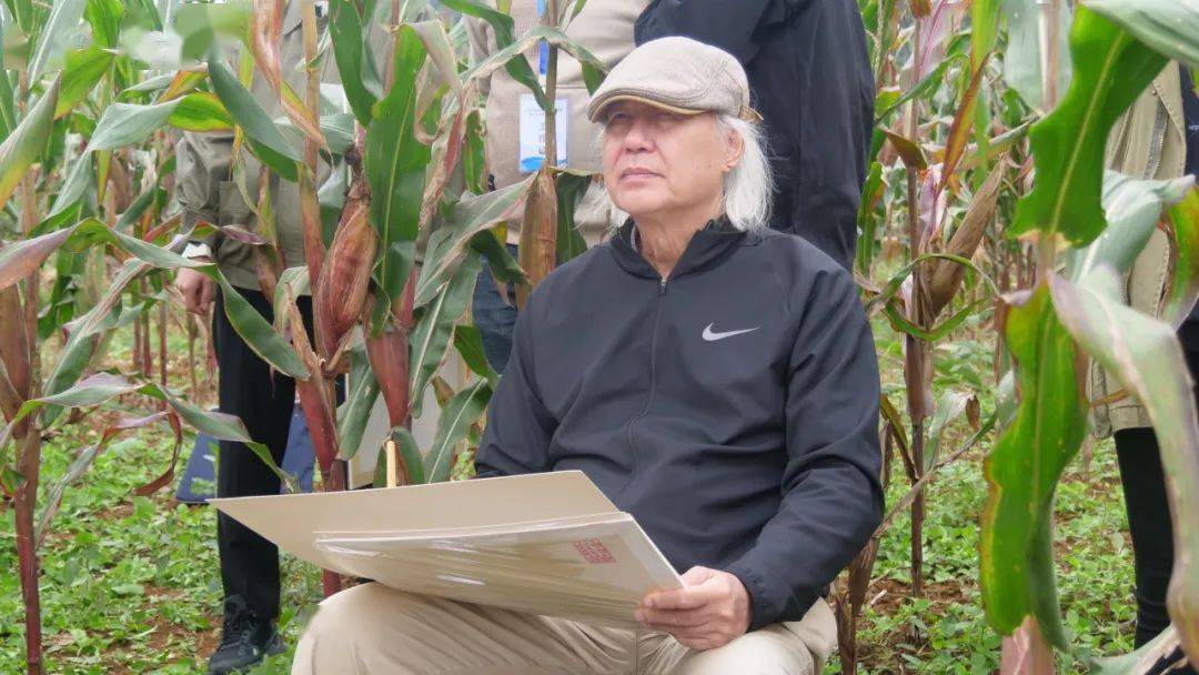 画优秀作品邀请展暨写生培训教学系列活动在曲靖举行_文化_罗平_创作