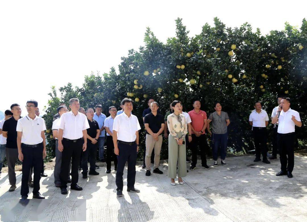 10月15日,平和县委书记蔡绿璇带领平和县考察团到我县参观考察.