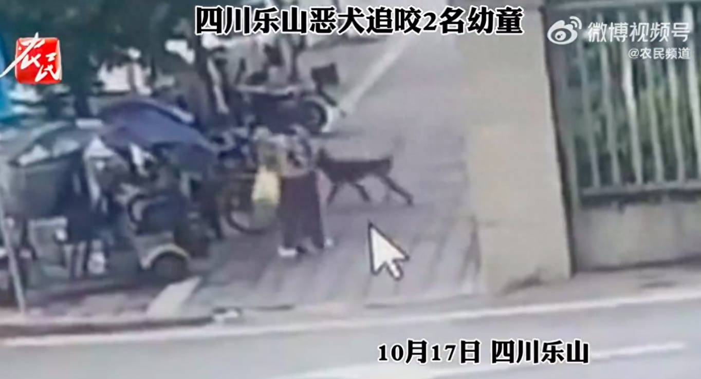 四川又一恶犬扑倒追咬2名幼童,物业称应该是流浪狗,警方回应:已经将狗带走,正在处理_小区_视频_受伤