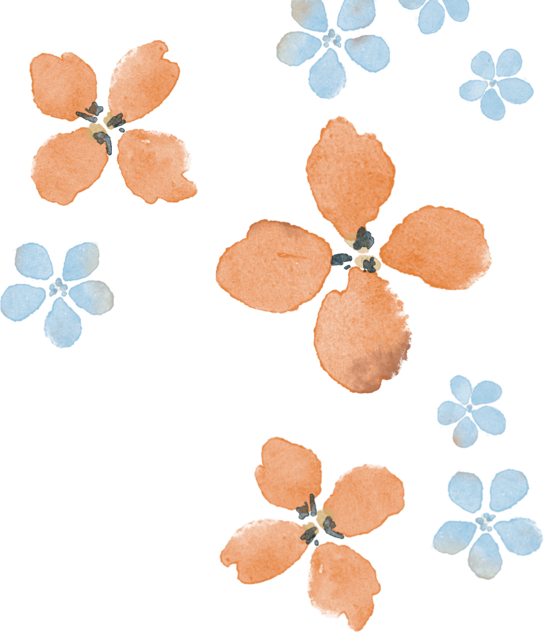 活动预告 ▏名师公开课:《大山里的小诗人》导读_平阳县_注册_儿童