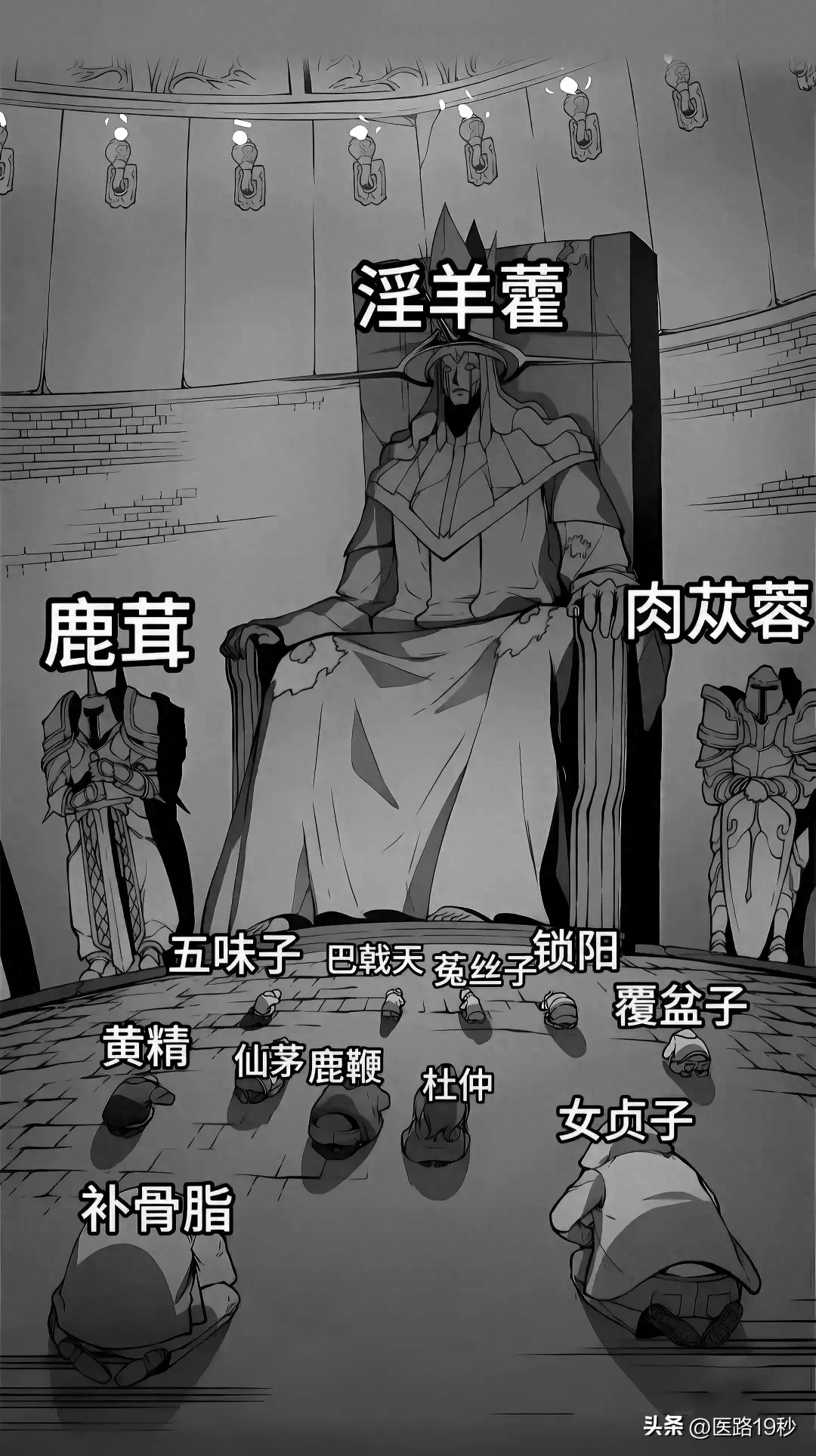 中药界补肾壮阳的地位高低!