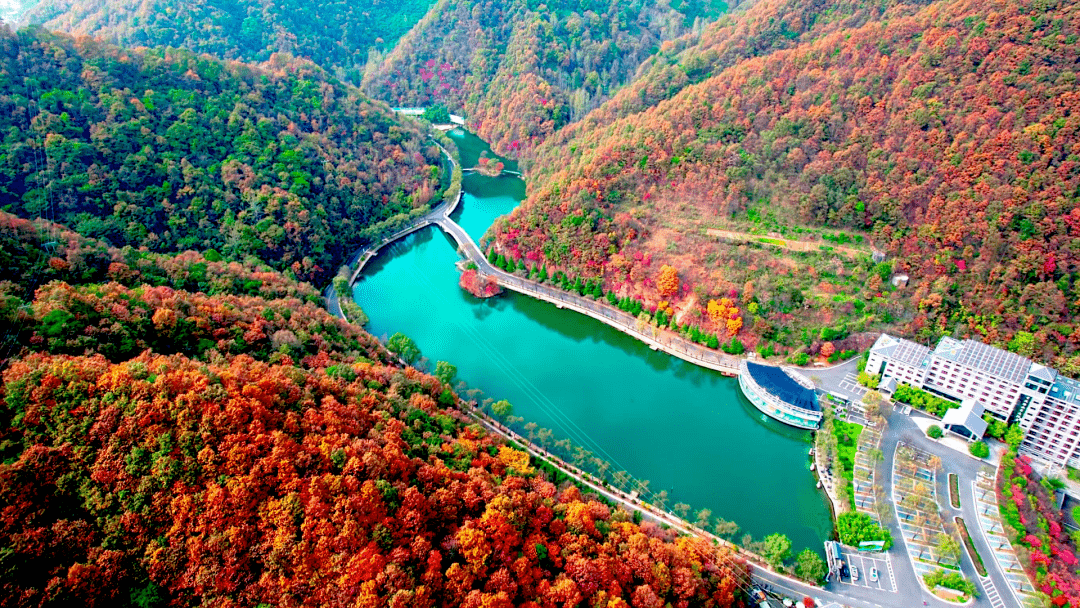 栾川重渡沟风景区简介图片