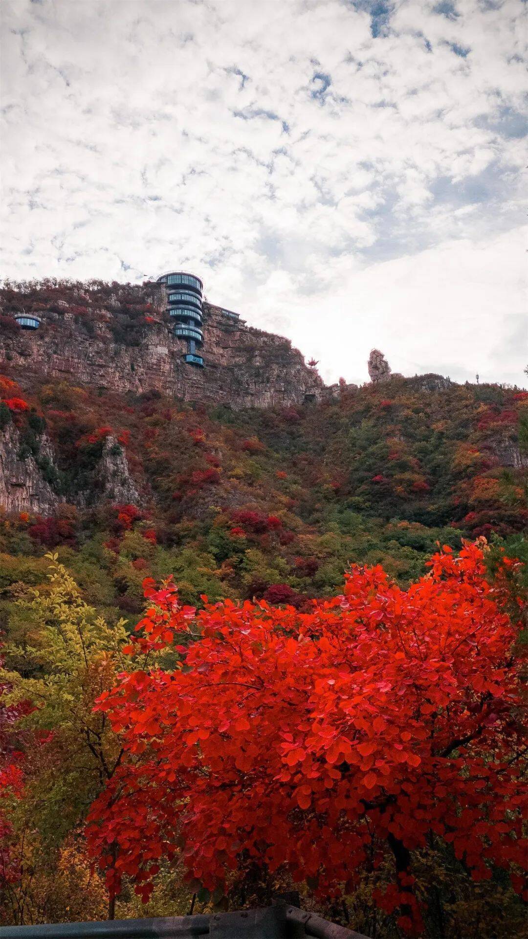 大自然_季节_喧嚣