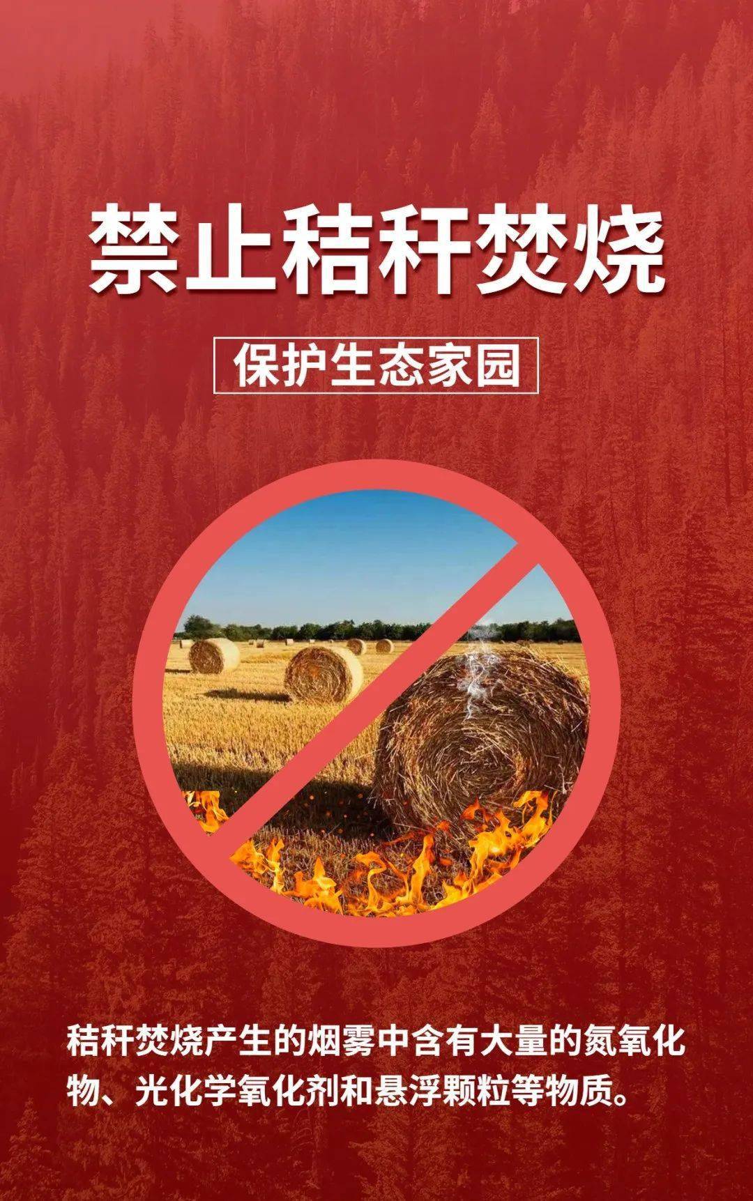 禁止秸秆焚烧 保护生态家园_来源_网络综合