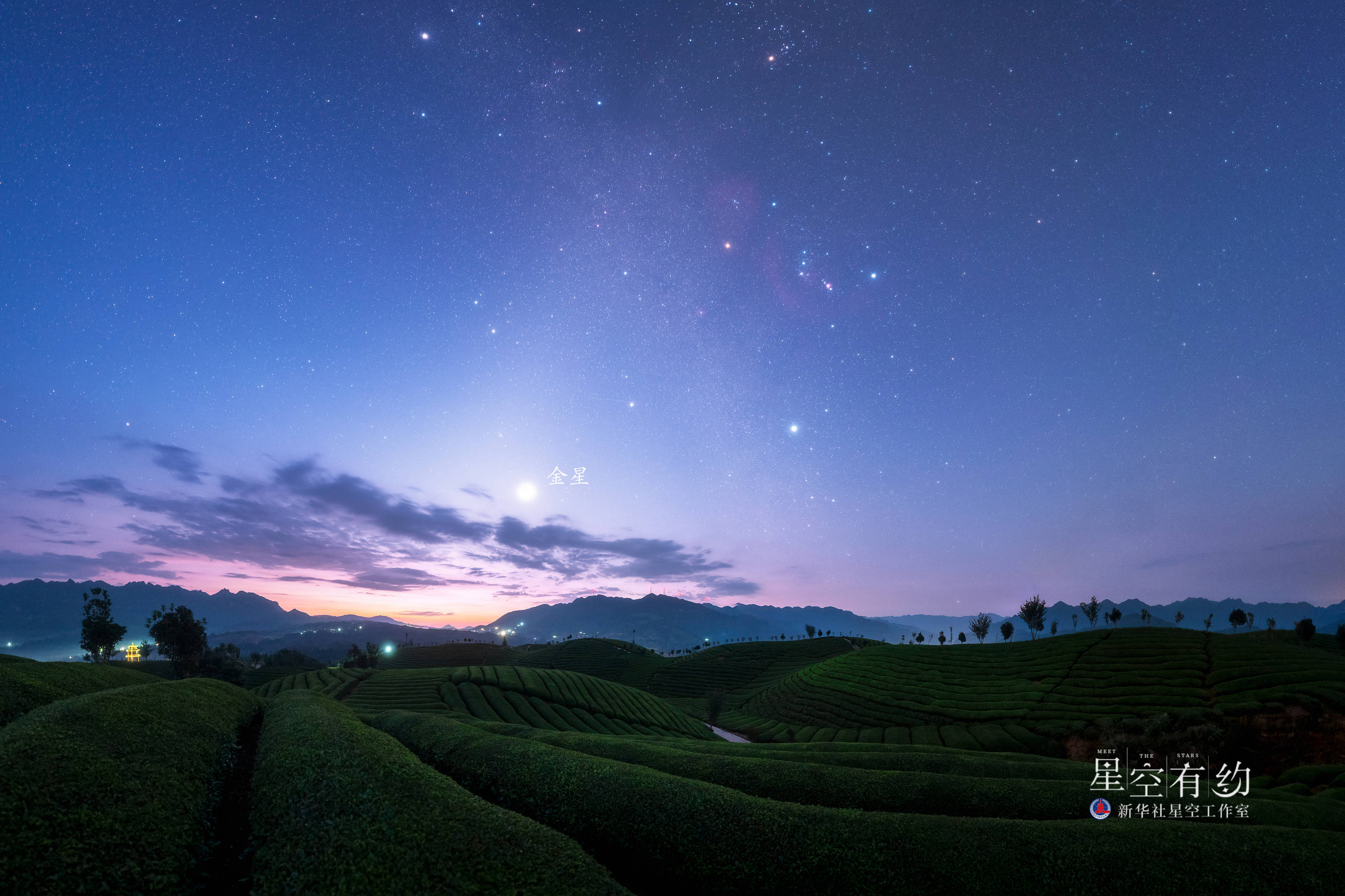 星空有约|走,一起去追启明星"