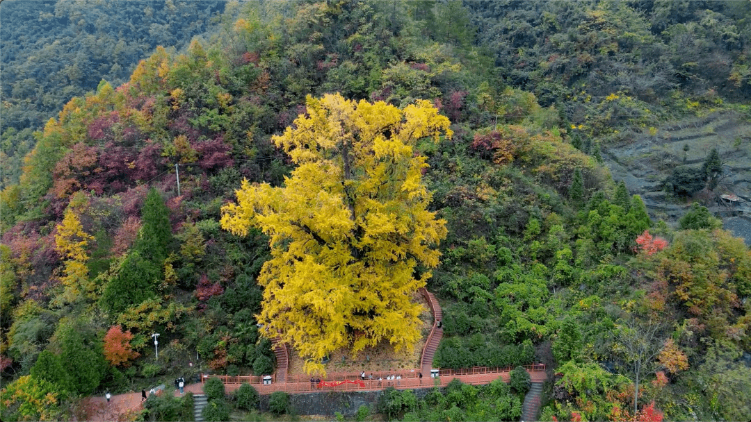 跟着《白色城堡》 走进大美安康——白河县_巴山_来源_千年