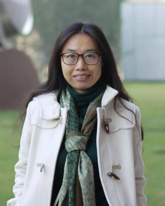 桂琳，中国社会科学院大学文学院教授，北京师范大学文艺学博士，英国东