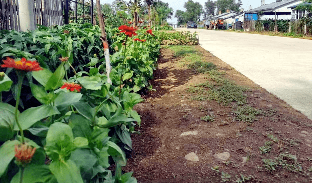 【龙头新闻】微服务实现微心愿 微行动打造大文明|巴彦县洼兴镇兴繁村