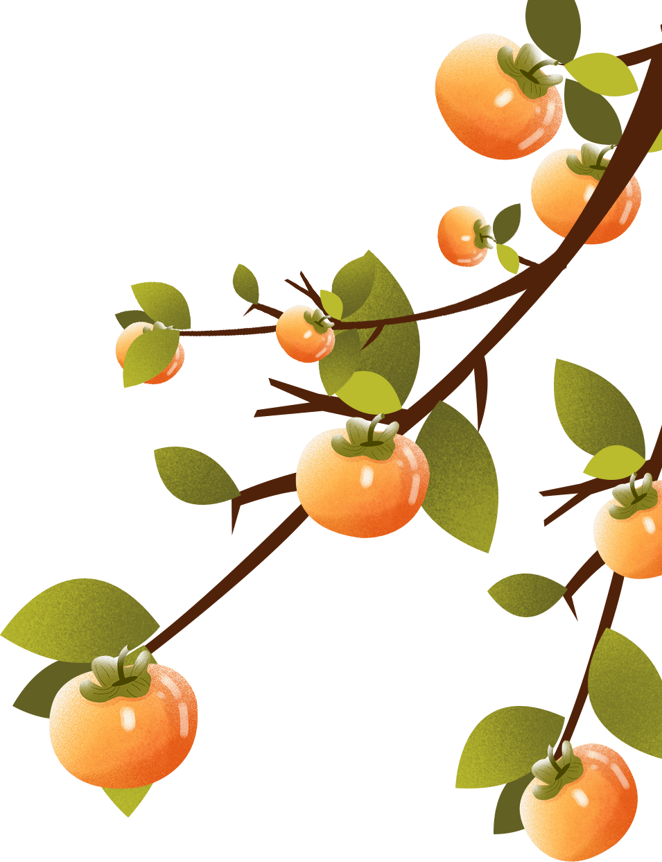 霜降丨人间秋色深,番禺这边风景独好