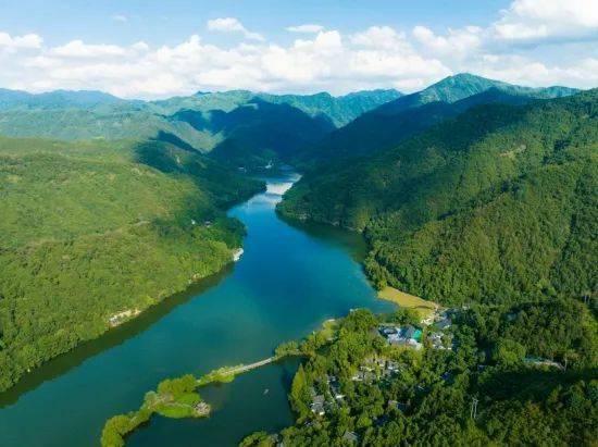 "乾潭镇人大代表,乾潭镇仇村村书记仇文杰对本村产茶的品质充满信心.