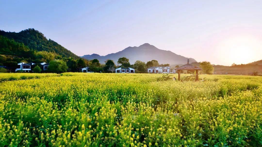 昱咖啡万绿湖景区万绿湖景区—龙凤岛,水月湾,镜花缘—新港省级粤菜
