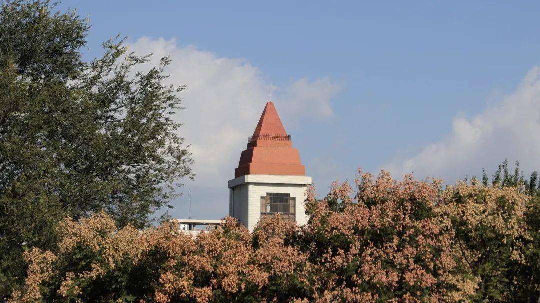 快来领取!_树叶_鲁大人_阳光