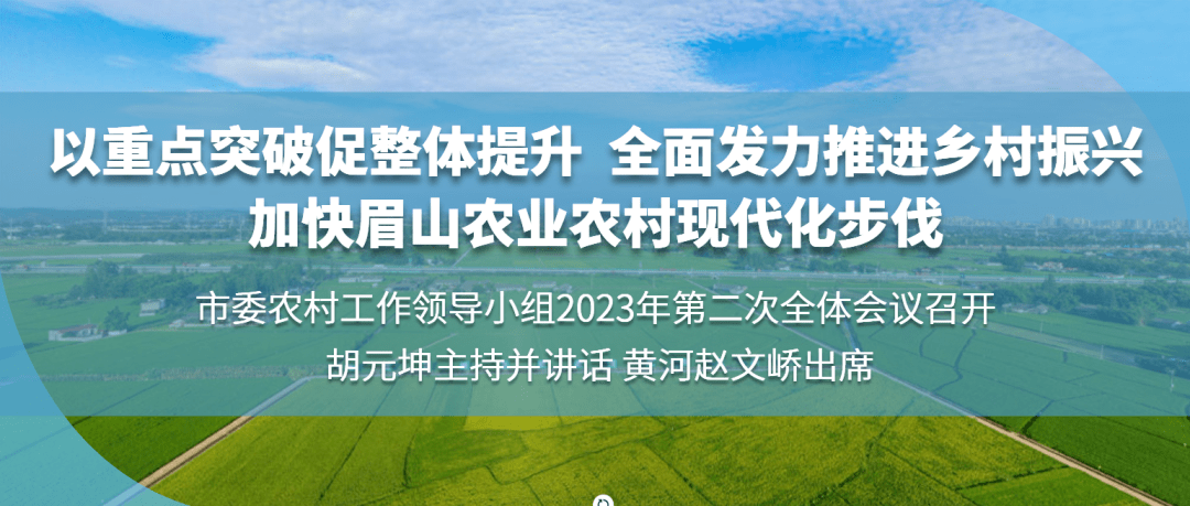 以重点突破促整体提升 全面发力推进乡村振兴 加快眉山农业农村现代化步伐丨市委农村工作领导小组2023年第二次全体会议召开_建设_发展