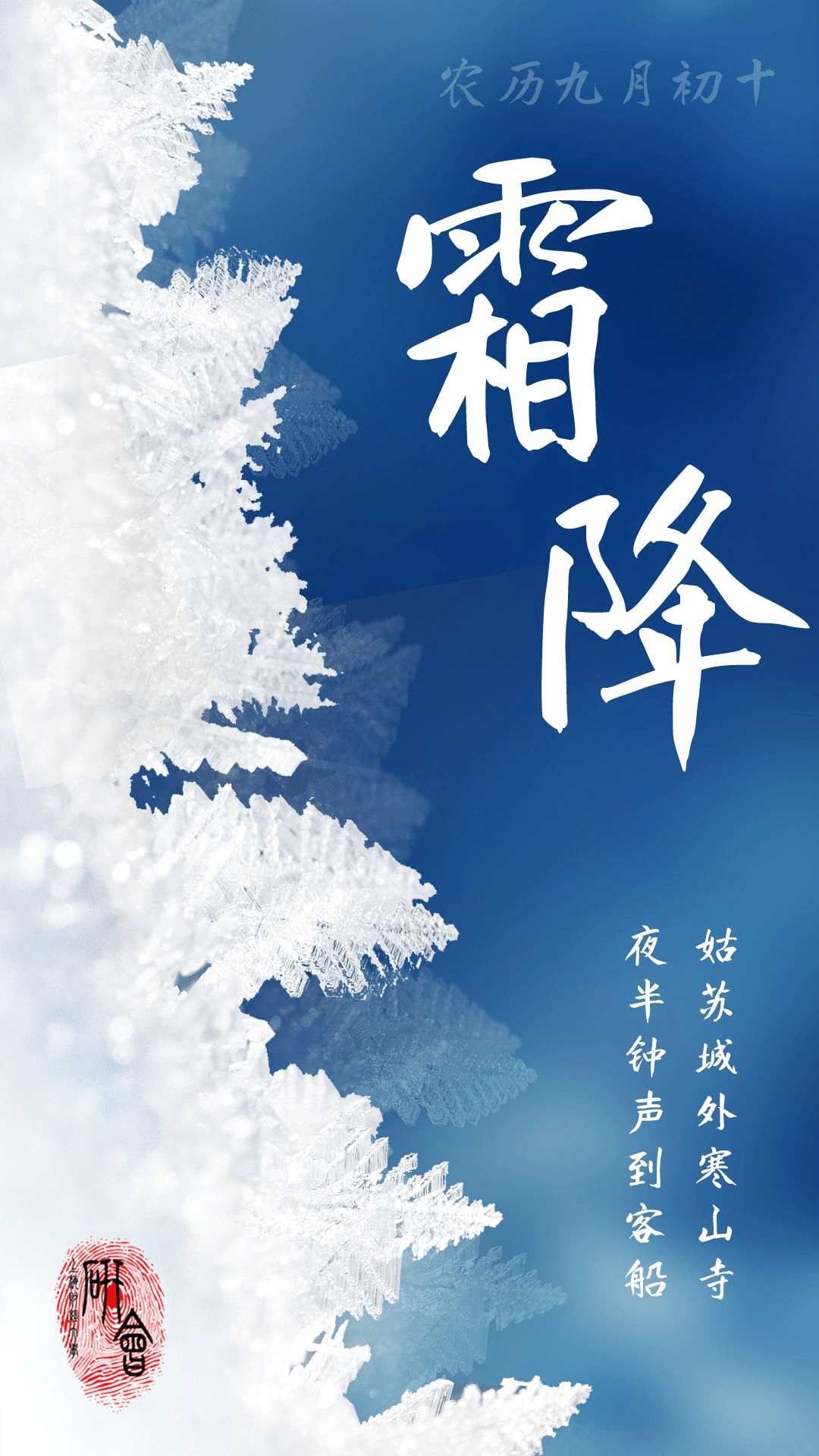 sufe节气|霜降_黄玥_汤函韵_侵权