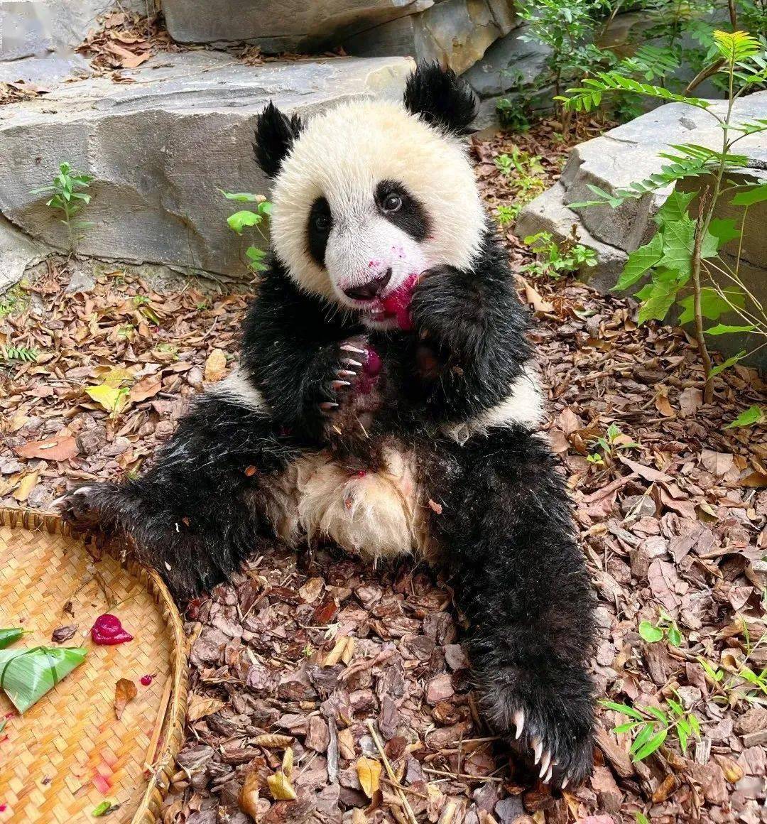 官方确认已病亡