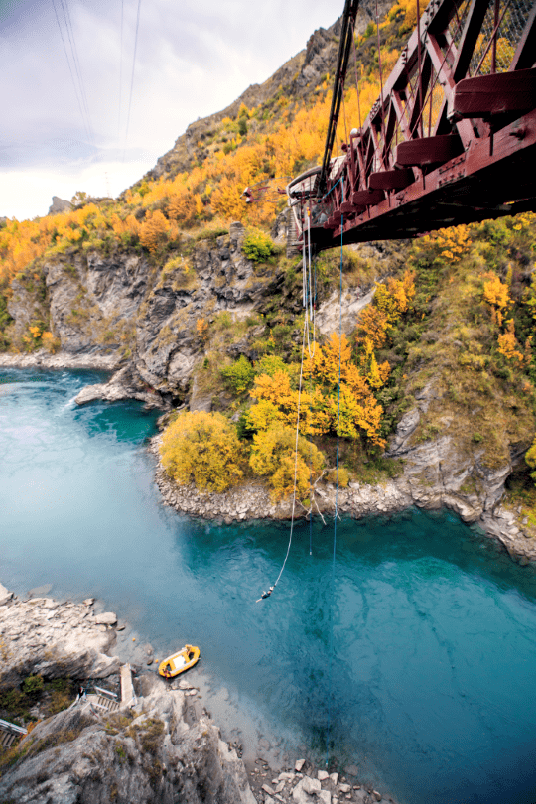 新西兰.南岛,这里有最纯净的风景_峡湾_小镇_米尔福德